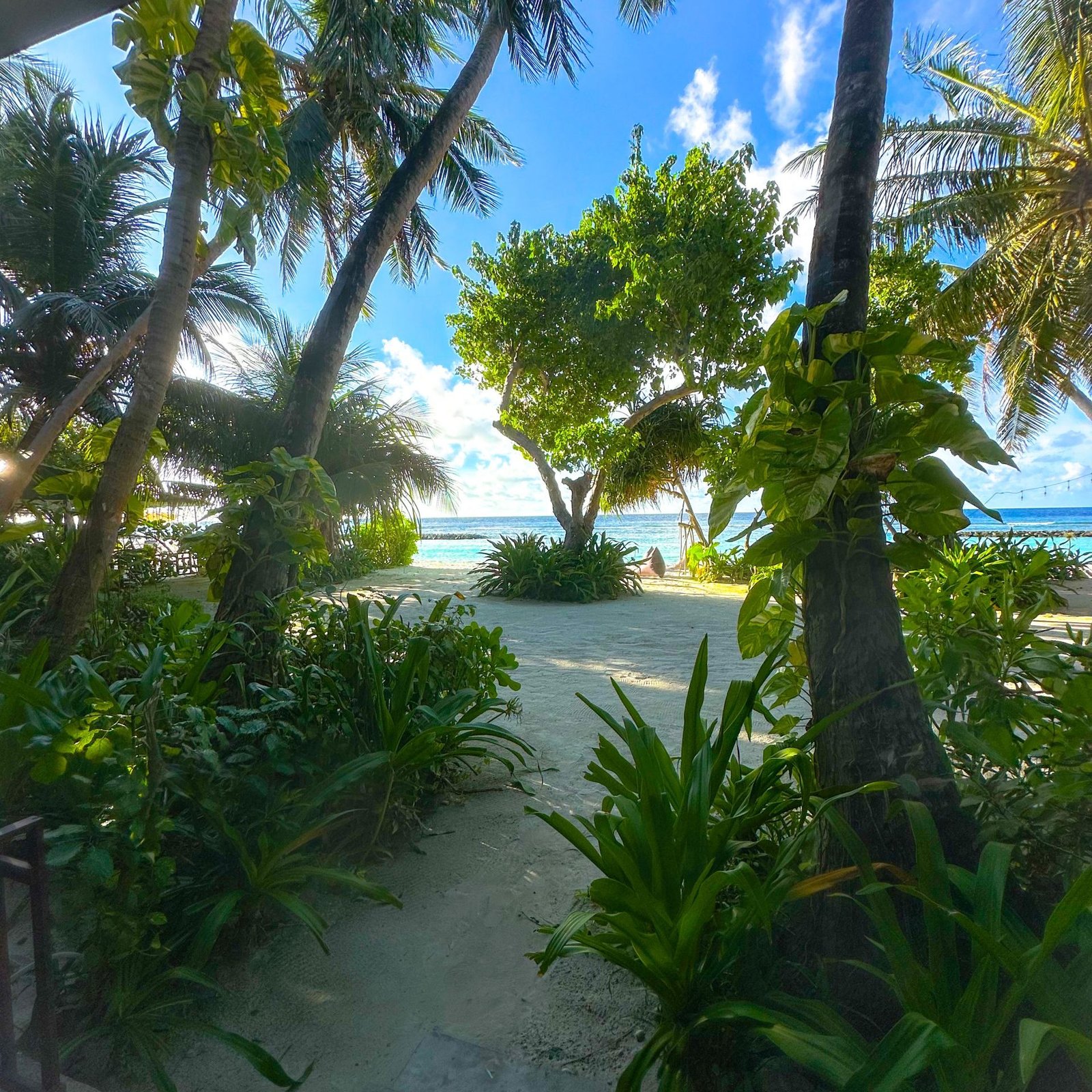 2AACD08D-9130-44C4-8562-C21896D6AAF3