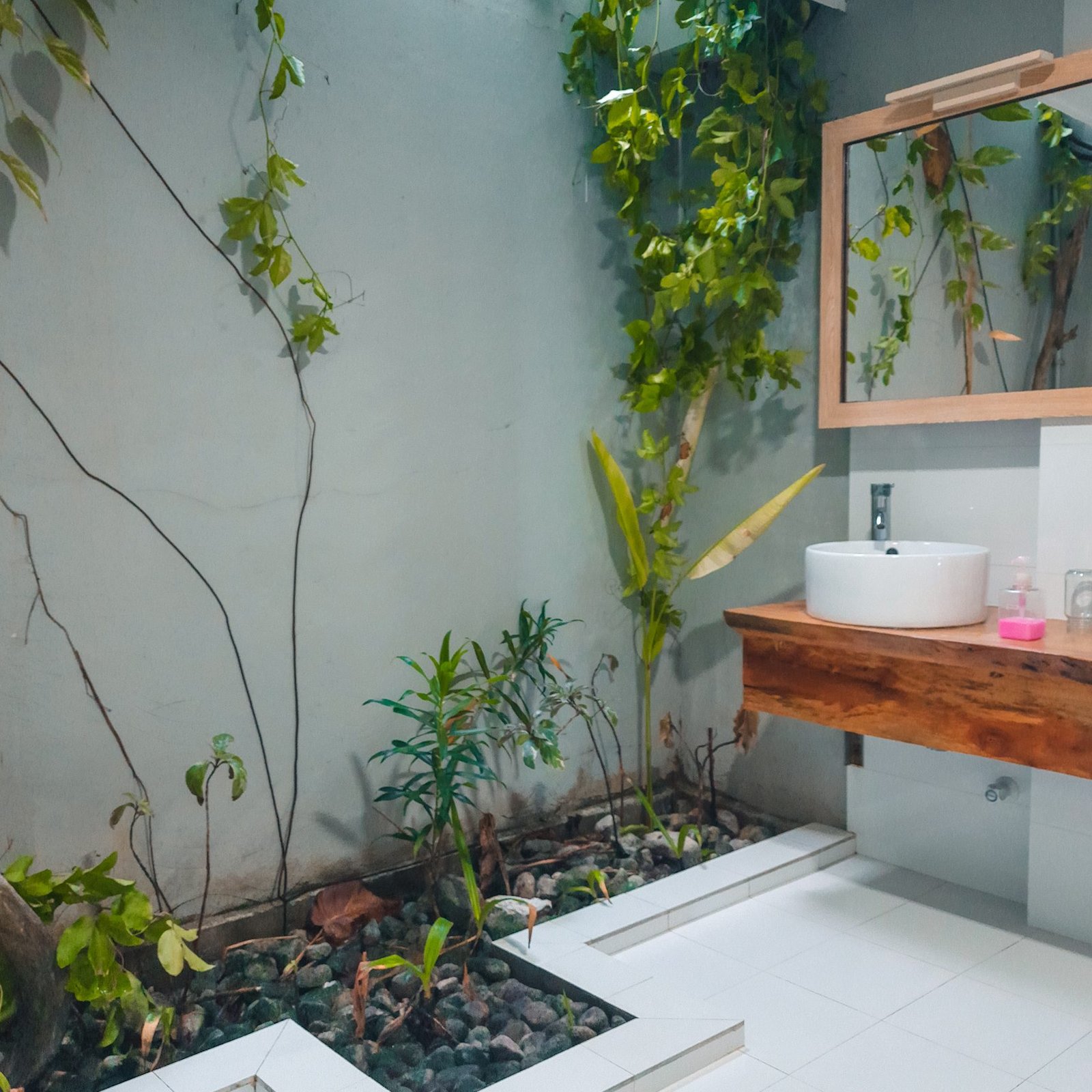 Shared from Lightroom mobile